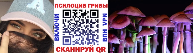 Купить закладки Краснознаменск Галлюциногенные грибы ЛСД